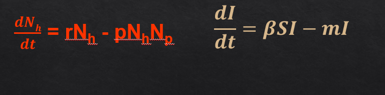 <p>pNh = encounter rate</p><p>Np= percentage of successful predation</p><p>rNh= population growth</p><p></p><p></p><p>B= transmission coefficient</p><p>S= susceptible</p><p>I= infected</p><p>m=death</p>