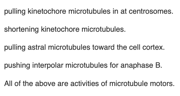 <p><span>Each of the following is an activity of a microtubule motor protein during mitosis </span><em>except</em></p>