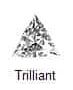 <p>Trilliant Cut Diamond</p>