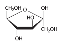<p>monomer: monosachrrides, carbon, hydrogen and oxygen atoms in a 1:2:1 ratio</p><ul><li><p>glucose</p></li></ul><p>linking bond: glycosidic - glucose monomers linked by hydroxyl groups (dehydration reaction)</p><p>example: cellulose, cell walls, rigid and packed making it good for cell walls</p><p>starch, energy, open making it easier to breakdwon</p>