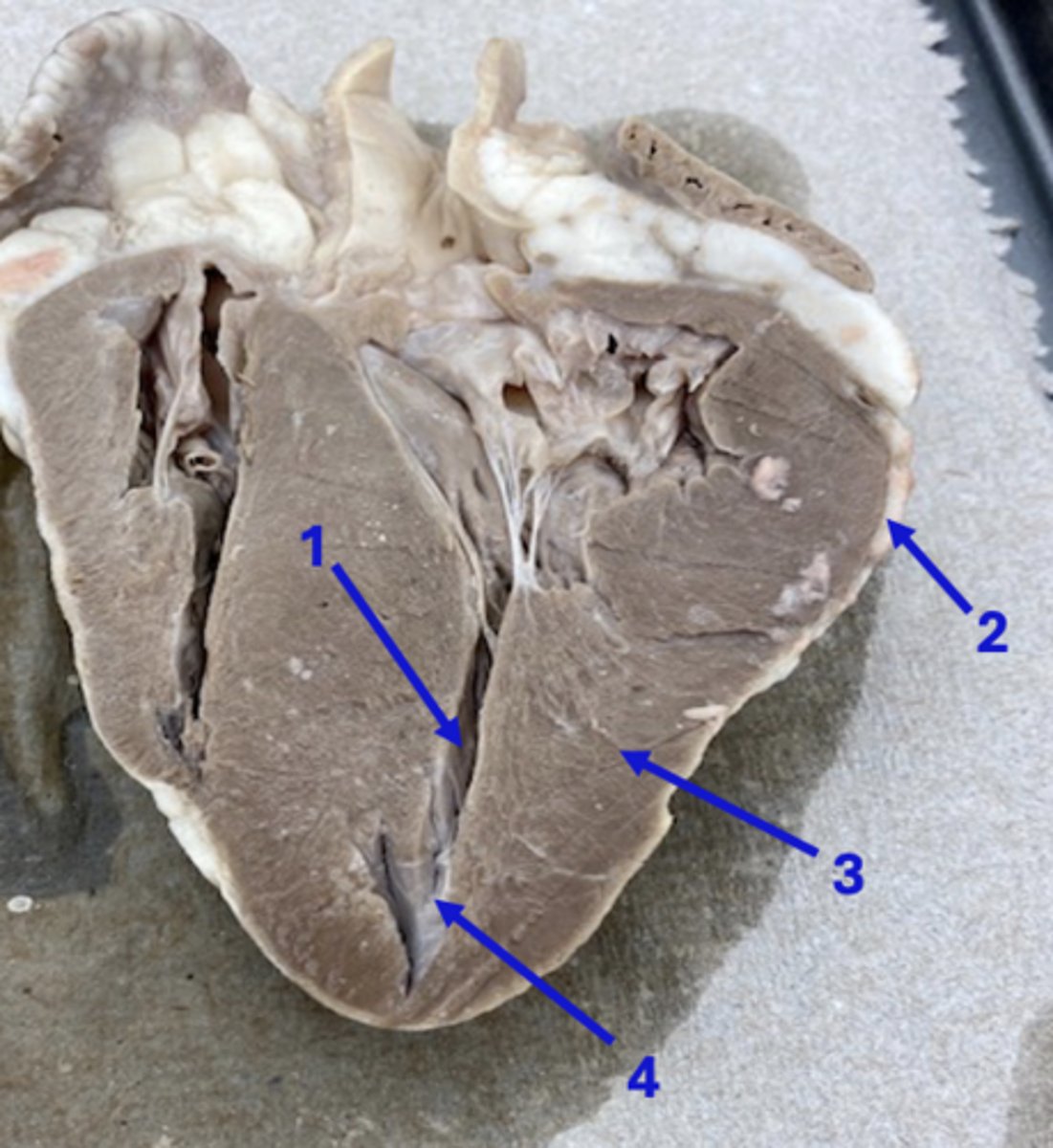 <p>3</p>