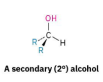 <p>The OH-bearing carbon is attached to <strong>two</strong> carbons.</p>