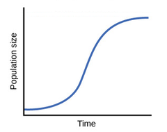 <p>growth pattern in which a population's growth slows and then stops following a period of exponential growth</p>
