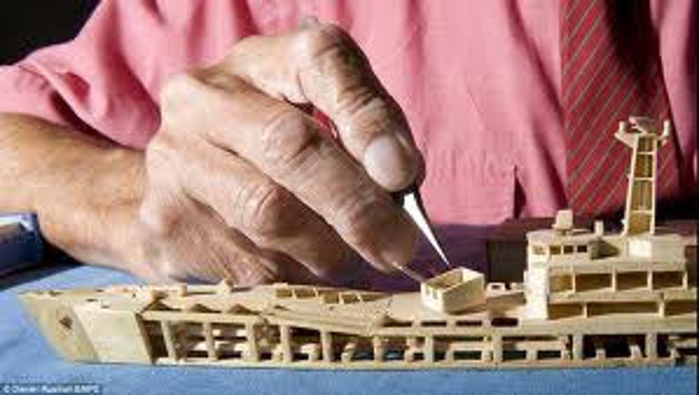<p>Concerned, proper, conscientious, diligent</p>