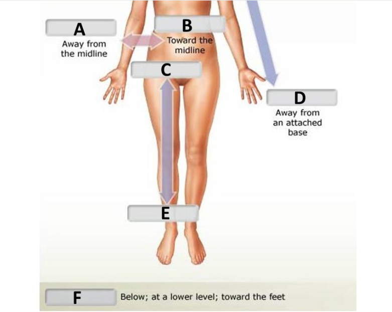 <p>Name for B</p>