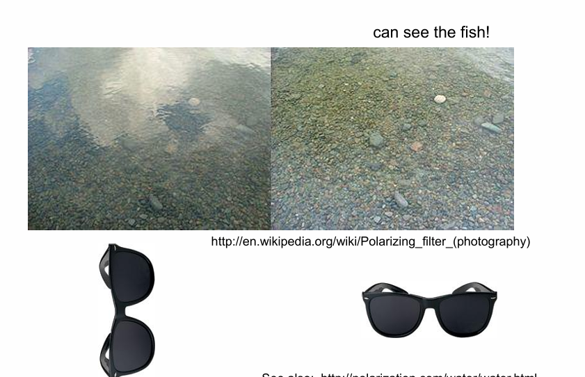 <p>Reflection near Brewster’s angle from a horizontal surface produces reflected light dominated by horizontal polarisation.</p><p></p><p>They reduce reflected glare from the water surface, allowing more transmitted light from below the surface to be seen.</p><ul><li><p>sun is vertical and high…. we want a horizontal filter to block out</p></li></ul><p></p>