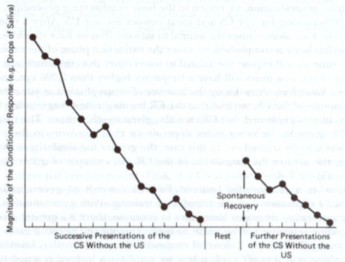 <p>Extinction (in classical conditioning)</p>