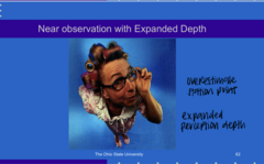 <p>A photographic portrait taken closer than expected will be perceived as "birdlike" because of perceived depth _______</p>