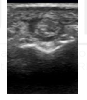 <p>What is this?</p>