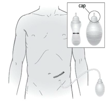 <p>What is the&nbsp;<strong>purpose</strong>&nbsp;of the following object?</p>