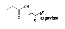 <p>What are the properties of aspartic acid?</p>