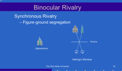 <p>Synchronous Rivalry -- Figure Ground Segregation (Pic)</p>
