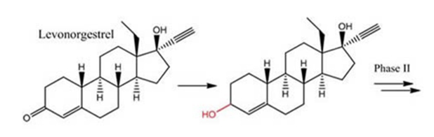 <p><span>Phase I reductive biotransformation of the oral contraceptive</span><br><span>levonorgestrel – the morning-after pill. A Form of progestin used to stop</span><br><span>or delay ovulation and thickens the cervical mucus. It may prevent</span><br><span>implantation.</span></p>