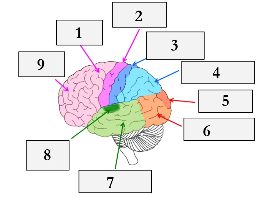 <p>4?</p>