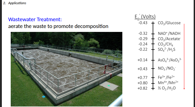 <p>decomposition</p>
