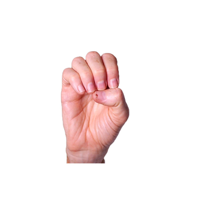 term image
