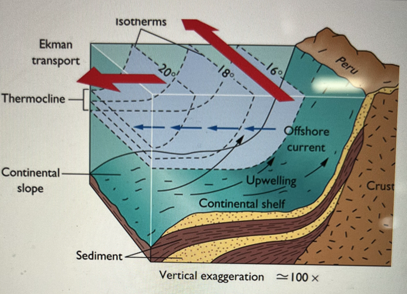<p>What is the correct order of events that characterizes a highly productive coastal upwelling regions such as shown here for Peru?</p>