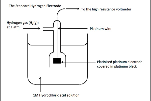<p>is a reference used to measure unknown electrode potentials</p><p></p><p>has E<sup>Ɵ</sup> = 0.0 V</p><p></p><p>set up:</p><ul><li><p>solution of aqueous HCl, with H<sub>2</sub> gas pumped in from the side to react with the H<sup>+</sup> on a Pt electrode</p></li></ul><ul><li><p>this half cell is placed on LHS and connected to the standard cell of another species, using a voltmeter and a salt bridge</p><ul><li><p>voltmeter has high resistance → no current flowing, so voltmeter reading accurately indicates max E<sup>Ɵ</sup> of the unknown</p></li></ul></li></ul><p></p>