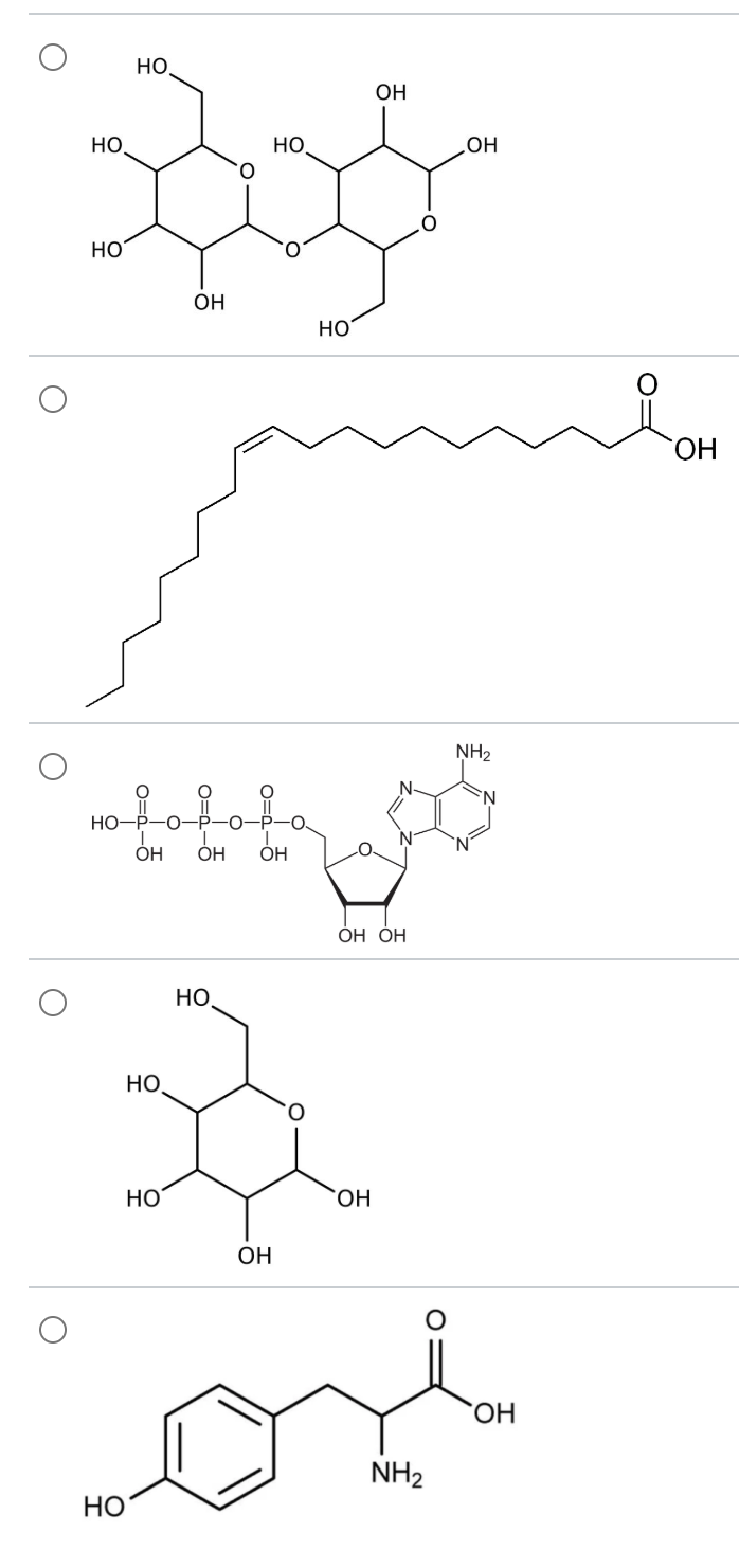 <p>Which of these contains a nucleotide?</p>