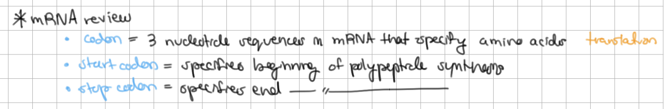 <p>codons are on <u>mRNA</u> and anticodons are on <u>tRNA</u></p>