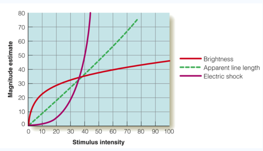 <p>based on the graph below, what would happen if the stimulus intensity of a light doubled from 20 to 40?</p>