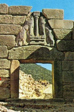 term image