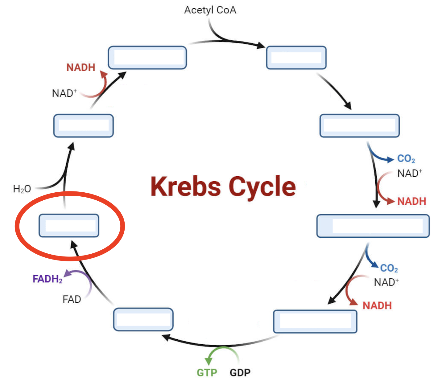 <p>Intermediate 6</p>
