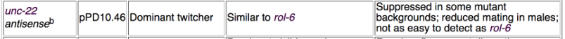 <p>plasmid= pPD10.46</p><p>phenotype= dominant roller</p><p>good as similar to rol-6 (dominant, easy to detect phenotype, compatible w many co-injected transgenes)</p><p>may be suppressed in some mutant backgrounds, reduced mating in males, not as easy to detect as rol-6</p>
