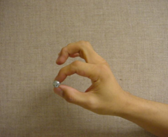 <p>The ability to perform precise movements by manipulating small objects, as the thumb is directly opposable to other fingers.</p>