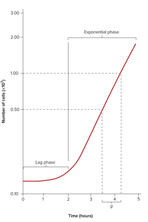 <p><strong>Calculation of generation (doubling) time:</strong></p><p>If a population doubles, then</p><p>• Nt = 2 N0</p><p>Substitute 2N0 into the growth rate</p><p>constant equation and solve for</p><p>• k = (log (2N0) − log N0)/0.301g =</p><p>(log 2 + log N0 − log N0)/0.301g</p><p>• k = 1/g</p><p>The generation time is the reciprocal</p><p>of the growth rate constant.</p><p>• g = 1/k</p>