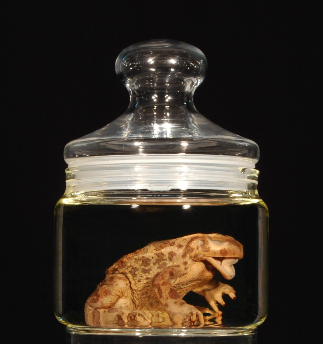 <p></p><p>Hábitats muy variados, tales como: dunas costeras, bosques aclarados y estepas, cultivos, bosques con cierta cobertura y alta</p><p>Carnívora. Depredador de pequeños invertebrados.</p><img src="https://ccz.ugr.es/img/colecciones-cientificas/CHD440_1.jpg" data-width="50%" data-align="center" alt=""><p></p>