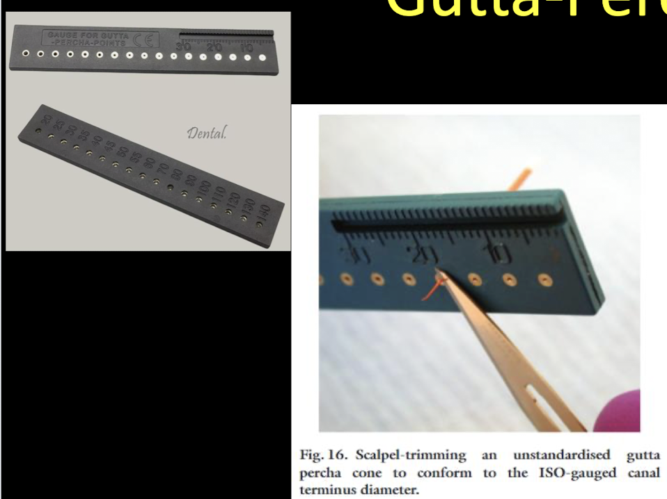 <p>to trim the tip to the ISO size usually for the .02 taper → using a smaller cone size, putting it into the number side and cutting the opposite side w a blade, spoon, etc)</p>