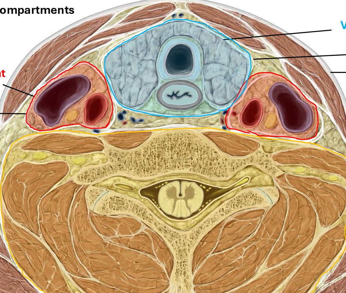 <p>Fill in the blank</p>