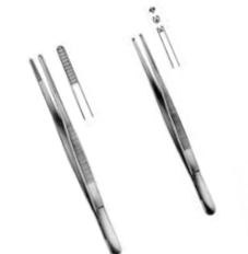<p>Disección con y sin dientes</p>