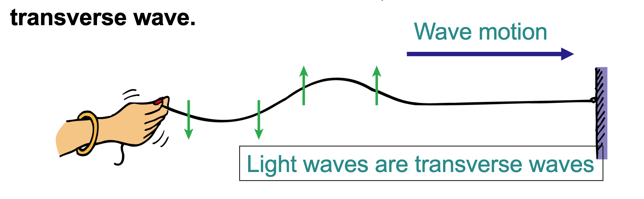 <ul><li><p>Whenever the motion of the medium is <strong>perpendicular</strong> to the direction in which a wave travels</p></li><li><p>Ex: Light</p></li></ul><p></p>