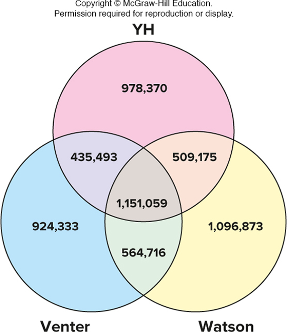 <p>two or more variant forms of a specific DNA sequence amongst individuals/populations that are unique to each</p>