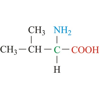 <p>Val (Non-polar) V</p>