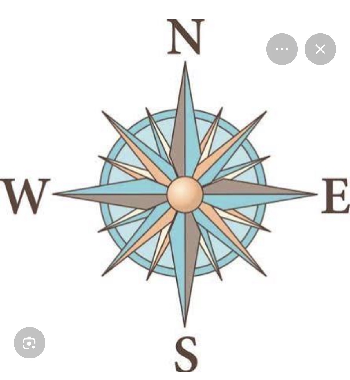 <p>Compass rose </p>