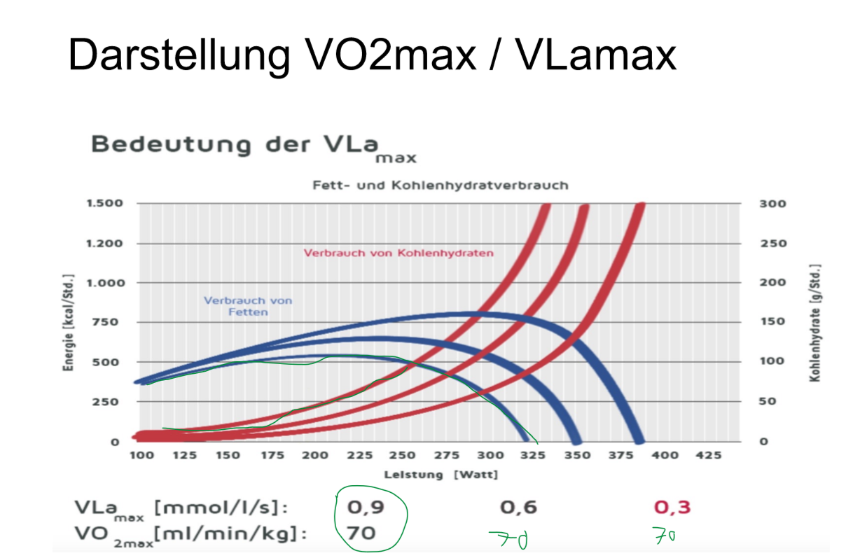 <p>Desto tiefer die VLaMax ist, desto weniger Laktat wird gebildet bei einer gewissen Intensität. Die VLamax  (maximale Laktat Bildungsrate) beschreibt, wie gut eine person im Anaeroben bereich Arbeiten kann. somit mit tiefem VlaMax kann eine Person viele Fette verbrennen.</p>