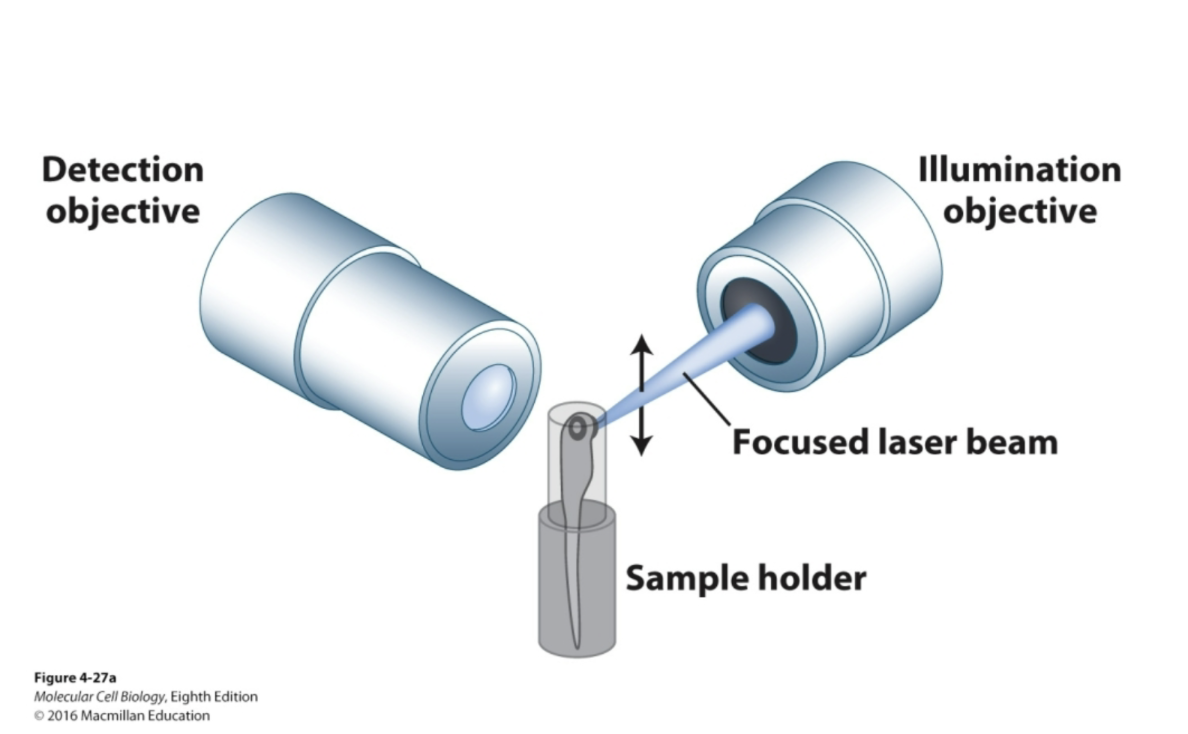 <p><span>Super resolution technique that uses a thin sheet of light to illuminate only one plane of a sample at a time and allow fast 3D imaging </span></p>