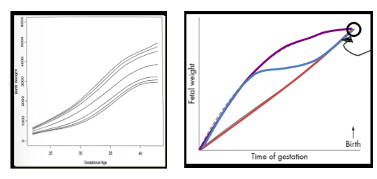 <p>not linear. Reason is its complication bc we have very long gestation, it takes rlly long to prod human; Fetal growth not linear; If exposed early or when growth rate slow, you’re gonna change stem cell formation and gene expression of specific organs but maybe not great important on growth; If done when greatest steepest amt of growth, will impact growth, HOWEVER each baby also has its specific growth rate too. so overall, terrible predictor of environment </p>