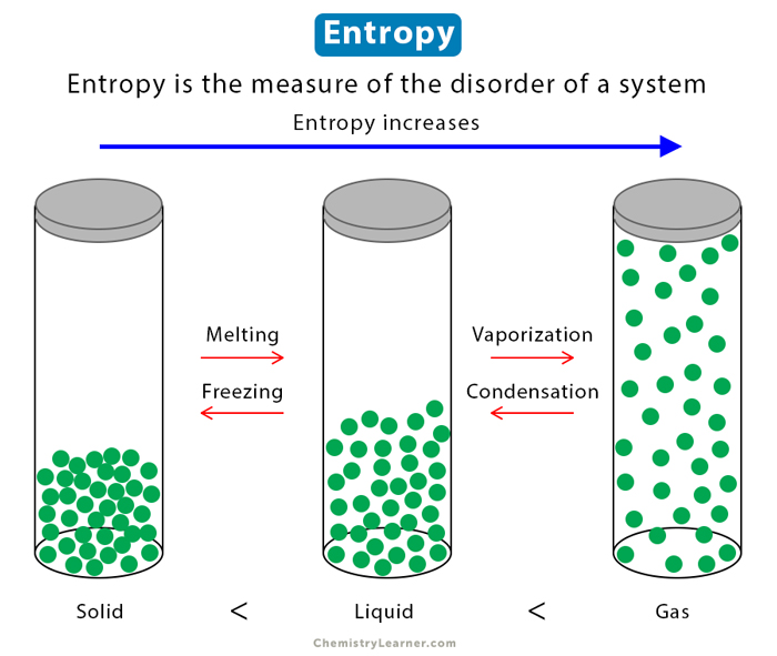 <p>A measure of disorder, but also of probability, as to which outcome is most favorable- like heat moving from hot to cold</p><ul><li><p>The more probable arrangements will occur more frequently, but ordered arrangements can happen, just rarely</p></li><li><p>Ex: gases > liquids > solids</p></li><li><p>Ex: mixed solutions > unmixed components</p></li><li><p>Ex: uniform temperature > hot and cold sites</p></li></ul><p></p>