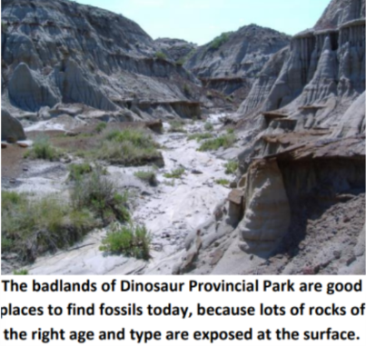 <p>Arid environment with little vegetation and high erosion rates. Location of large expanses of ancient sedimentary rocks are exposed. Best place to look for fossils.</p>