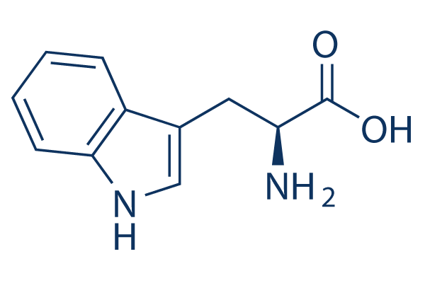 <p>Try (Non-polar) W</p>