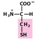 <p>What structure is this? And what group does it fall under?</p>