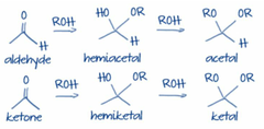 <p>A functional group formed when a ketone reacts with an alcohol.</p>