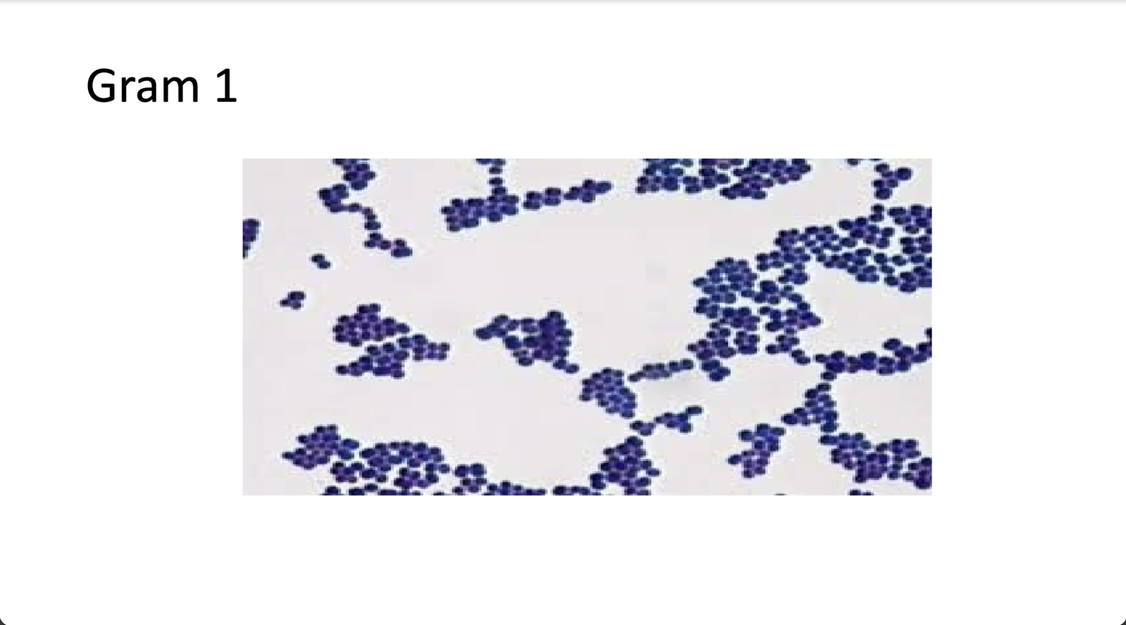 <p>positive/negative and morphology</p>