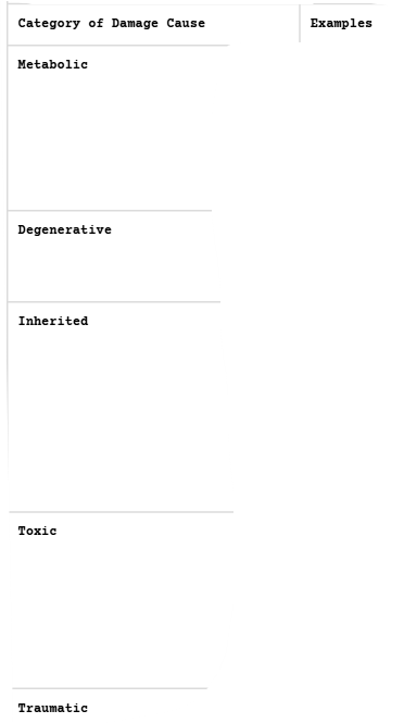 <p>Inc ALT</p>