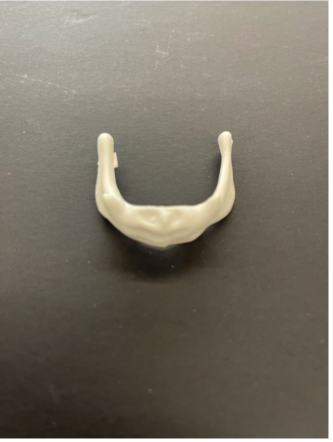 <p>Identify the name of the bone</p>