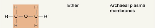<p>Ether group.</p>